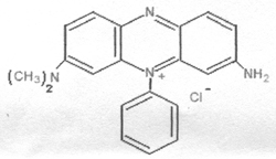 基本的なバイオレット5 (ジメチルSafranine)