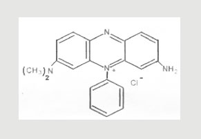 Safranine 0