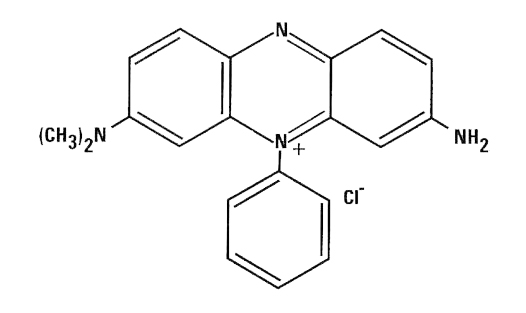 Basic Violet 5