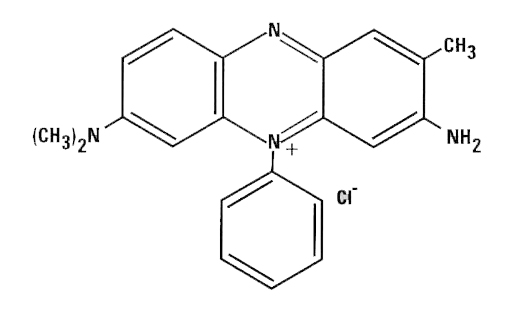 Rhoduline Violet