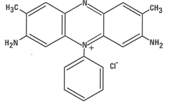 safranine 0 (基本的な赤2)